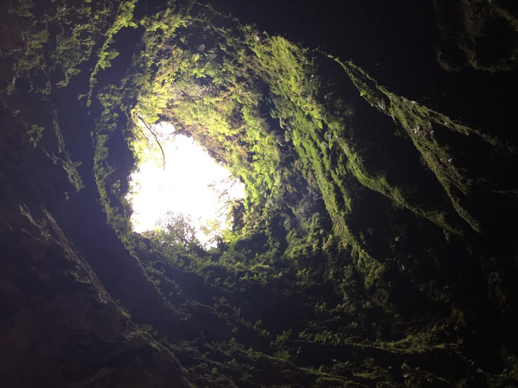 Cave vent opening, ALgar do Carvao, trekker island, azores