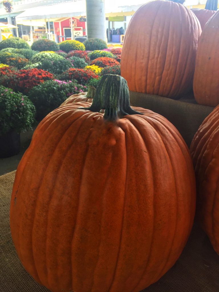 Pumpkins and flowers at farmer's market Nashville