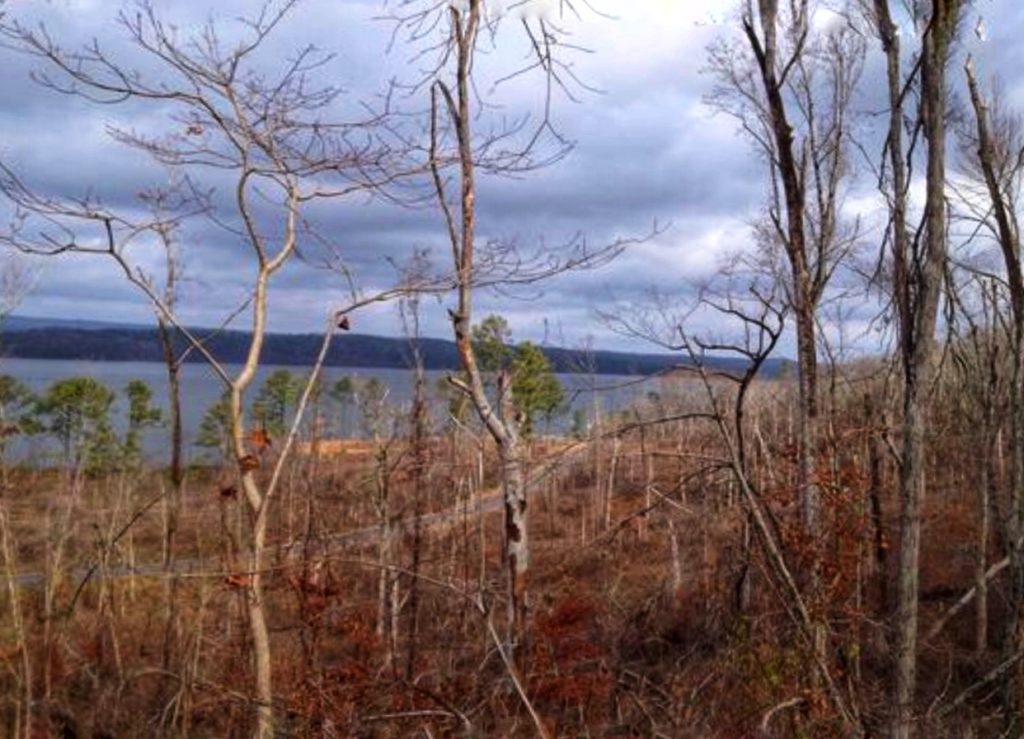 View of Lake Guntersville through trees, Guntersville State Park, 52 weeks 52 hikes