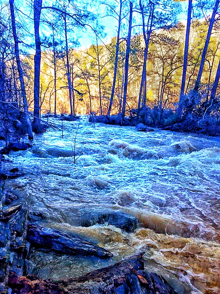 Rapid at Sweetwater Creek State Park, Georgia