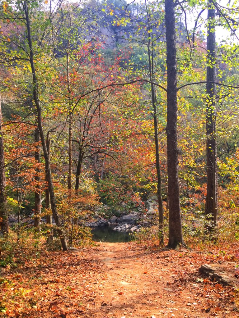Eberhart Trail on Fall foliage hikes, Talladega Ntaional Forest