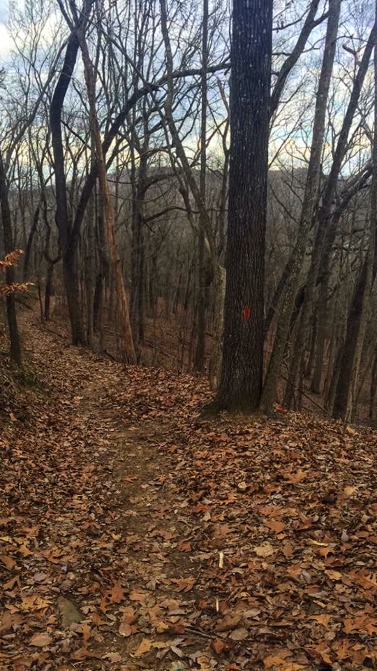 Meredith Trail, Lake Guntersville State Park