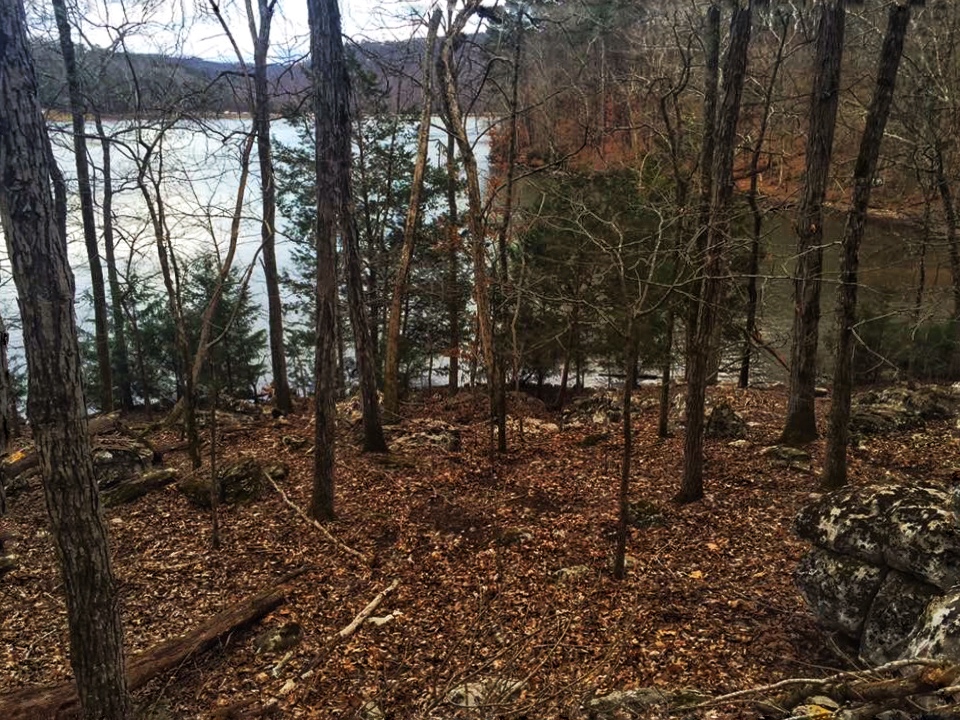 Trail at Lake Guntersville State Park