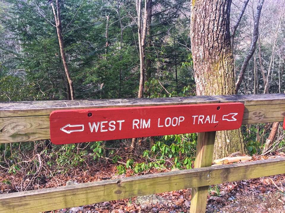 cloudland canyon mountain bike trails