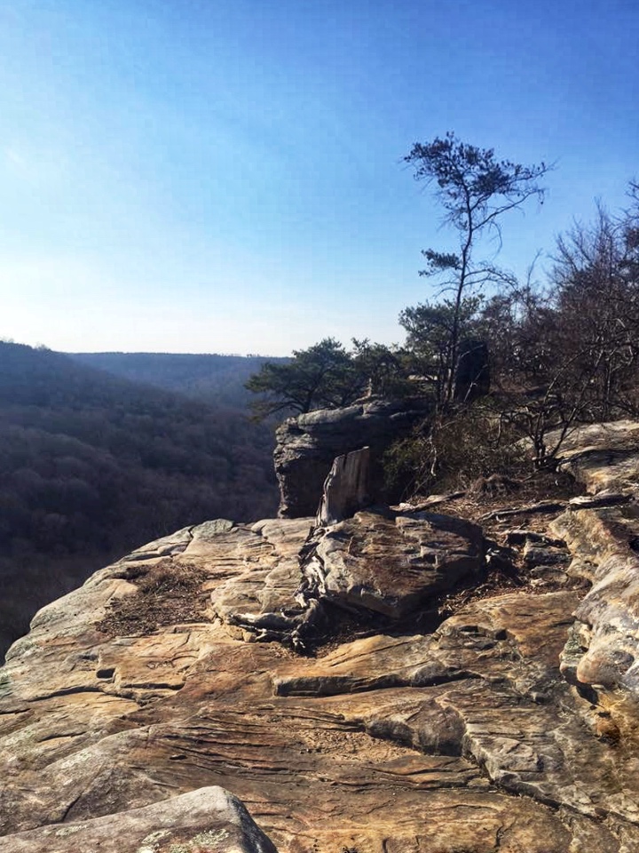 Overlook at Point Rock Trail Buck's Pocket State Park, Hike 7 of 52 in 52 Weeks, 52 Hilkes