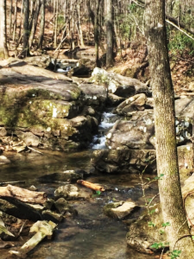 Moss Rock Preserve, Birmingham AL