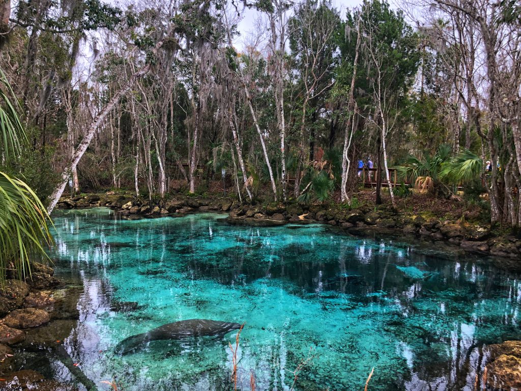 Three Sister's Springs, Crystal River Florida