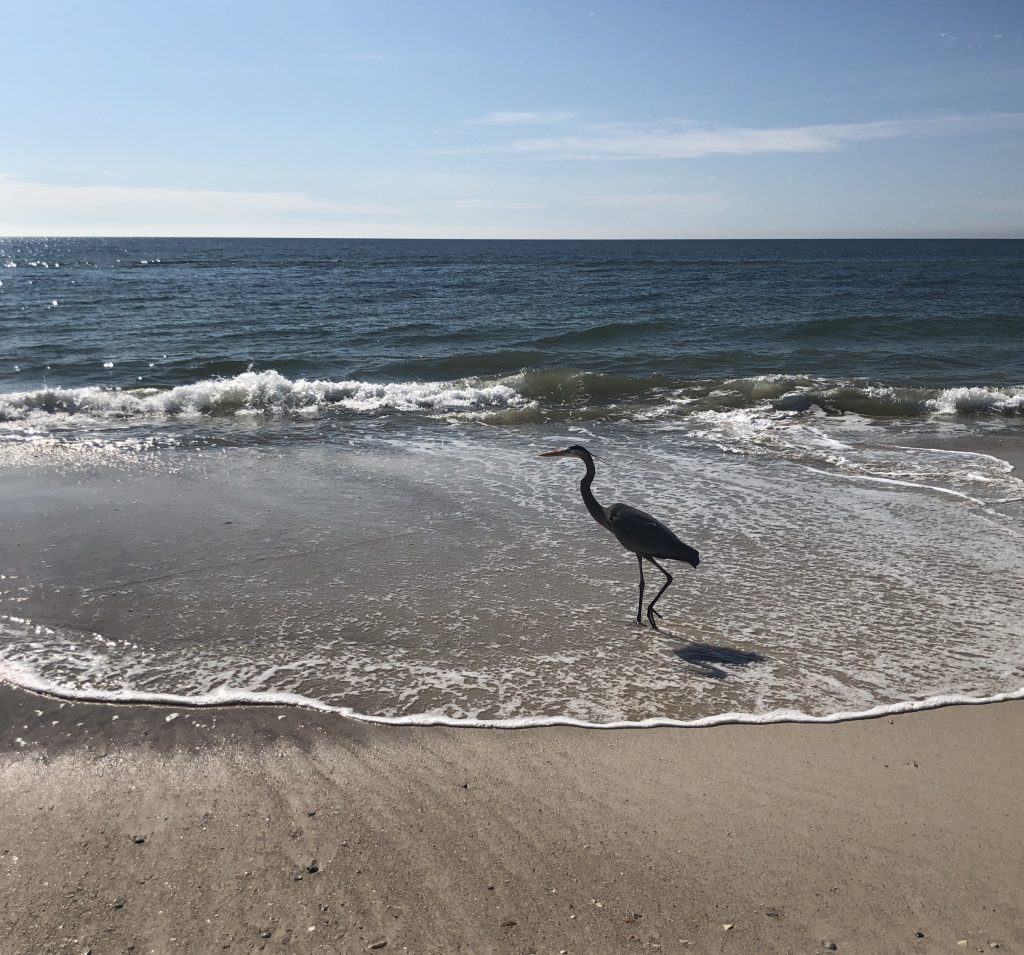 Hotel Indigo, Orange Beach, Alabama