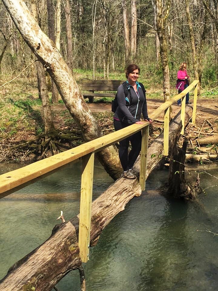 Brisge at Walls of Jericho, Alabama