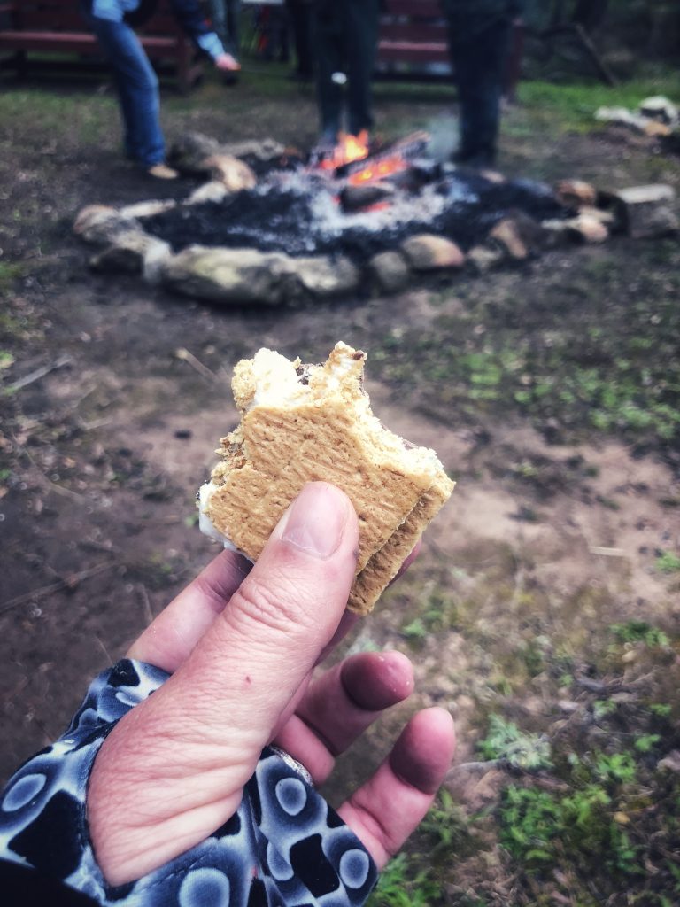 Monadnock Madness, Panola State Park, Ga