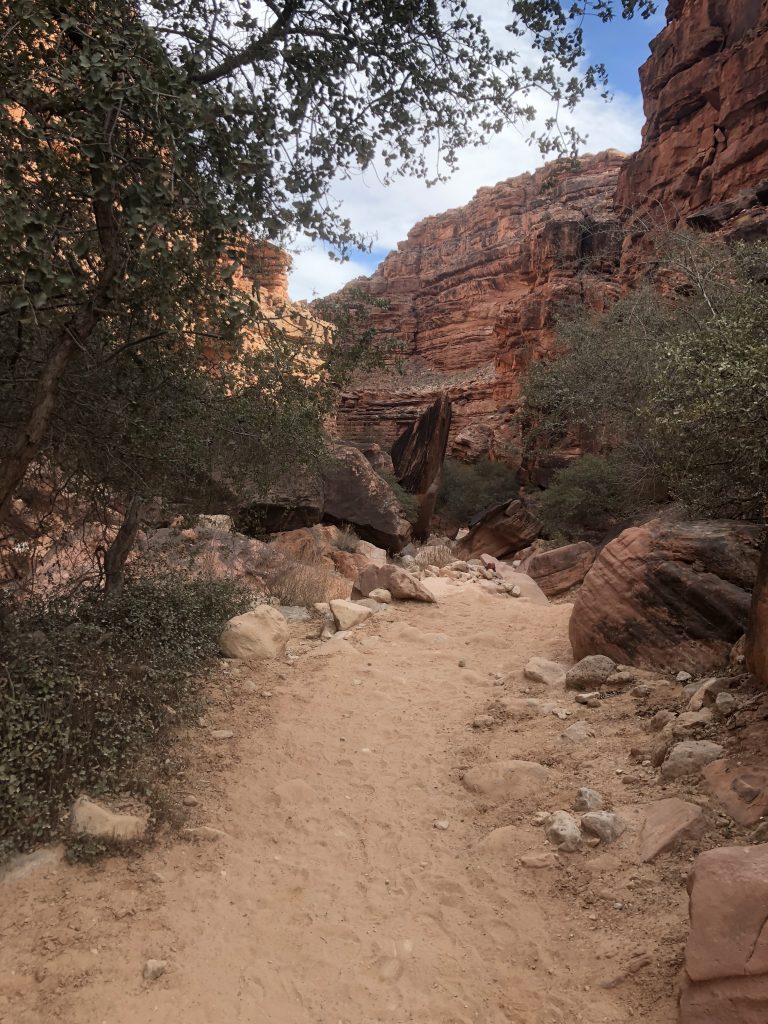 Trail in canyon
