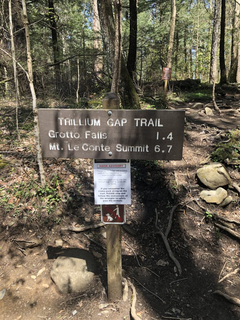 Trillium Gap Trail, Great Smoky Mountain National Park