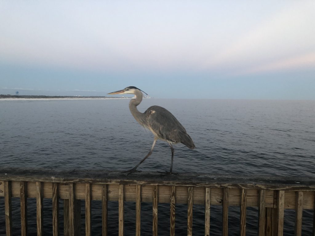 Fishing Pier, Gulf State Park