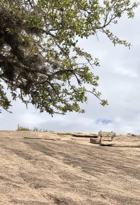 Enchanted Rock Trail Sign