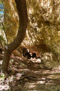 The Grotto, McKittrick Canyon