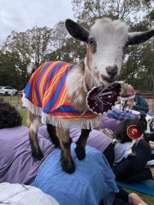 Goat Yoga, Palestine, East Texas