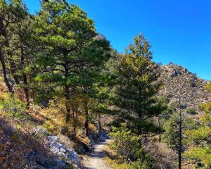 Guadalupe Peak Trail, Guadalipe Mountains National Parklupe