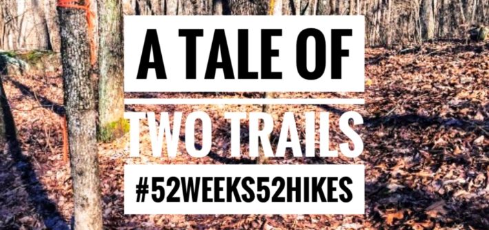 Tom Bevill Trail, Guntersville State Park, 52 weeks 52 hikes